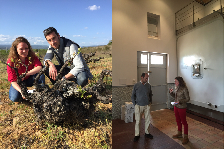 Bierzo, San Andrés de Montejos mit Adrían  Feo und Bordeaux, Saint-Emilion mit Emmanuel Boidron · April 2015 