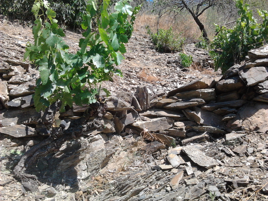 Prioratw3
